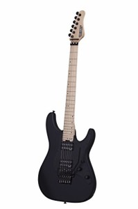 シェクター エレキギター 海外直輸入 Schecter Sun Valley Super Shredder with Floyd Rose Satin