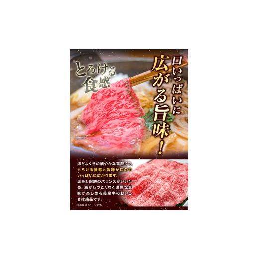 ふるさと納税 岡山県 浅口市  牛肉 ロース スライス 肩ロース 美星牛 約500g入り 美星ミート《90日以内に発送予定(土日祝除く)》 岡山県 浅口市 肉 和牛 国産 …