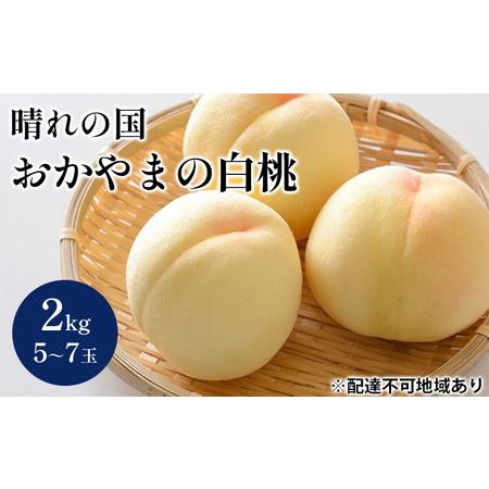 ふるさと納税 桃 2024年 先行予約 晴れの国 おかやま の 白桃 2kg 5〜7玉 もも モモ 岡山県産 国産 フルーツ 果物 ギフト 岡山県高梁市