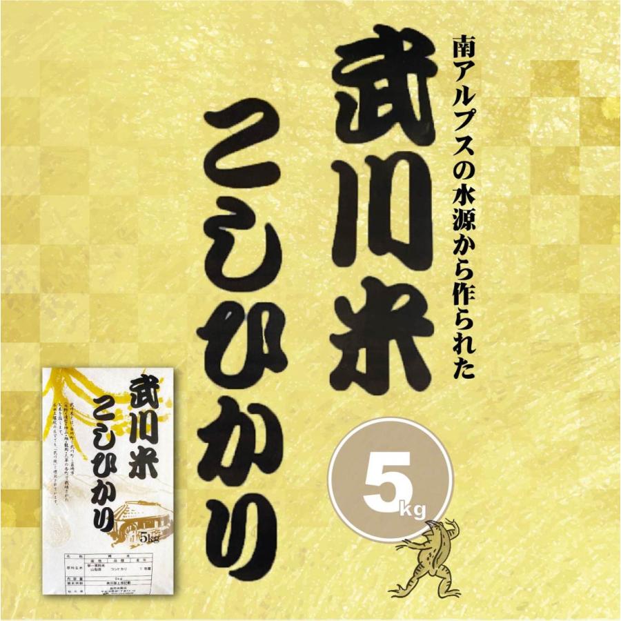 武川米　コシヒカリ　こしひかり　5kg　産地直送　送料無料　むかわまい　令和５年産　新米