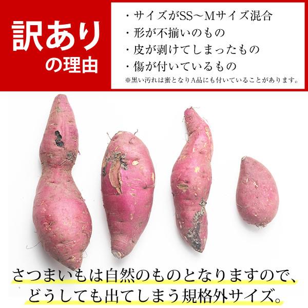 訳あり さつまいも 紅はるか 2kg 群馬県産 5セットご購入で 送料無料 さつま芋 サツマイモ 生芋 ※他商品との同梱は不可となります。