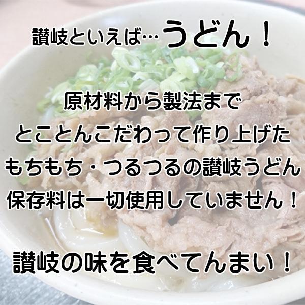 送料無料 半生 讃岐うどん 200g×2袋 つゆ付き ポスト投函 かけ ぶっかけ ざる しょうゆ 釜あげ 釜玉 香川県