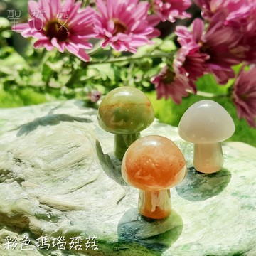 超迷你蘑菇寶寶 菇菇 雕件/擺件 ~瑪瑙/水草瑪瑙/紅木黑曜/紅碧玉/大麥町