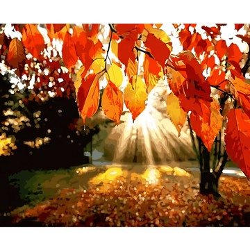 ARTLIFE 數字油畫DIY DT060 50 x 40cm  仲夏晨曦 多色  1個