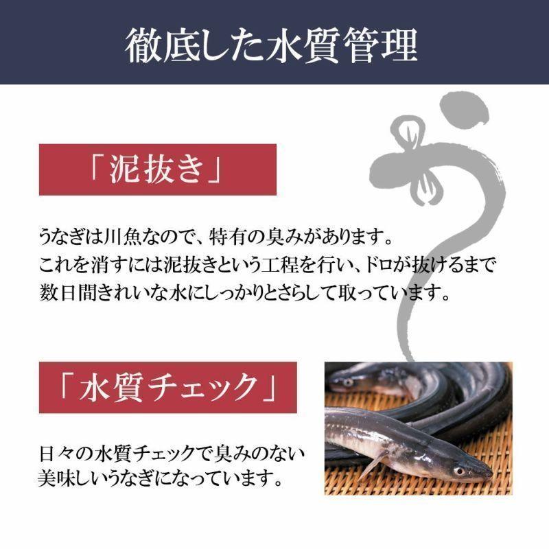 お歳暮 ウナギ 鹿児島県産 うなぎ　蒲焼き 2尾