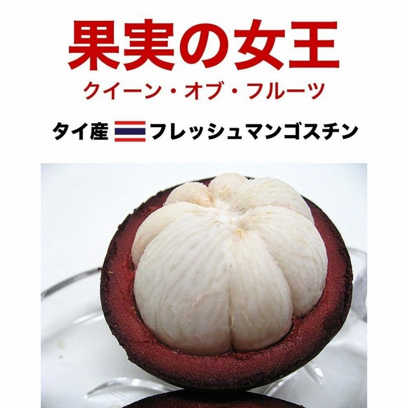 予約・7/2（火）から出荷開始予定】マンゴスチン タイ産