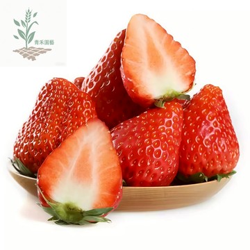 青禾園藝（阿爾比草莓種子）CM-15 Albion Strawberry小果紅草莓~甜度高不酸~外皮深紅內偏白~日本草莓