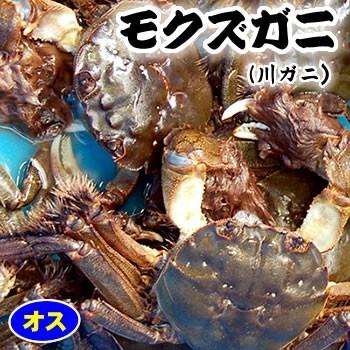 天然モクズガニ（生冷凍）オス　大　１匹（約200-250ｇ程度）（高鮮度3D凍結）（兵庫県産）（ツガニ、ケガニ、カワガニ、ヤマタロウガニ、もくずがに、川がに）