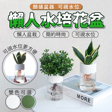【台灣現貨⚜️半個月不用澆水】水培花盆 水耕盆栽 懶人盆栽 懶人花盆 水耕花器 水培 多肉花盆 水耕