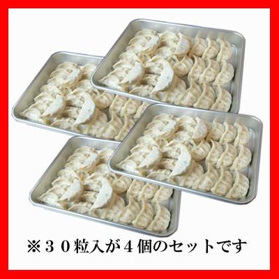 餃子 取り寄せ 冷凍餃子 市場のジャンボ餃子 30個×4 1粒35ｇ 送料無料