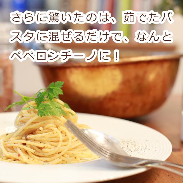 富士 河口湖で見つけたこだわりの「すりだね」と手もみ吉田のうどんセット （手もみ吉田のうどんと手もみ甲州ほうとう3種類の組み合わせ）山梨県