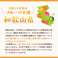 和歌山県紀の川市産 白鳳(赤秀) 11-15玉入り 桃 モモ もも 株式会社松源《2024年6月下旬-7月中旬頃より順次出荷》和歌山県 紀の川市