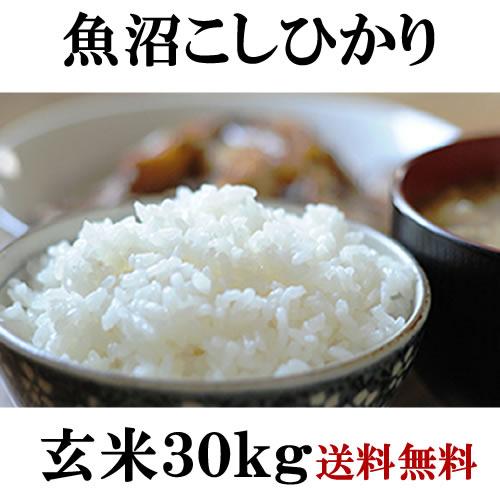 新米 お米 30kg 魚沼県産 コシヒカリ 令和5年 玄米 白米(27kg) 送料無料 無料精米 二等 単一米 検査米