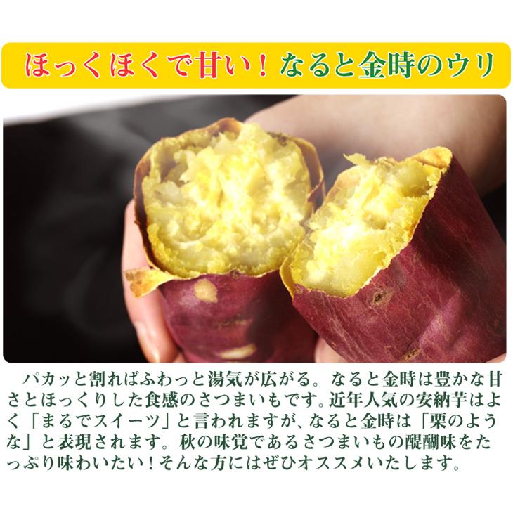 さつまいも 生芋 なると金時 5kg 徳島産 秀品 M〜2L 送料無料 鳴門 食品 国華園