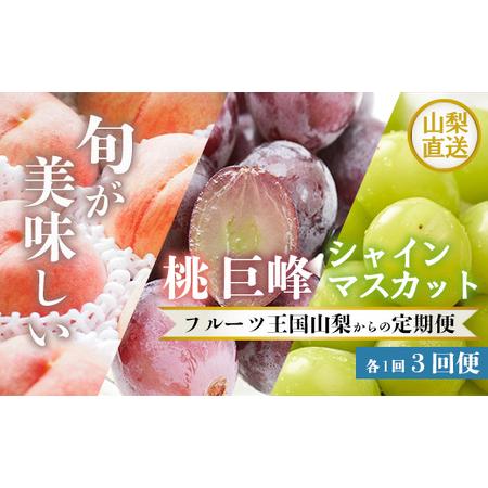 ふるさと納税 ＜2024年度先行予約＞数量限定 山梨の美味しい果物・フルーツを3回定期便　桃　巨峰　シャインマスカット　山梨のフルーツを詰め合.. 山梨県笛吹市