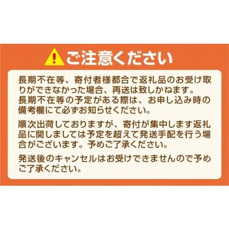 ふるさと納税 AZ047 やまや　博多もつ鍋　あごだし醤油味　1人前 　3個セット 福岡県篠栗町