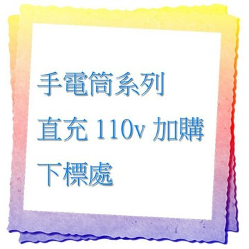 【台灣現貨🔥免運🔥24H出貨】 此為手電筒加購區 直充線110V家用插頭 僅限本賣場手電筒使用 興雲網購