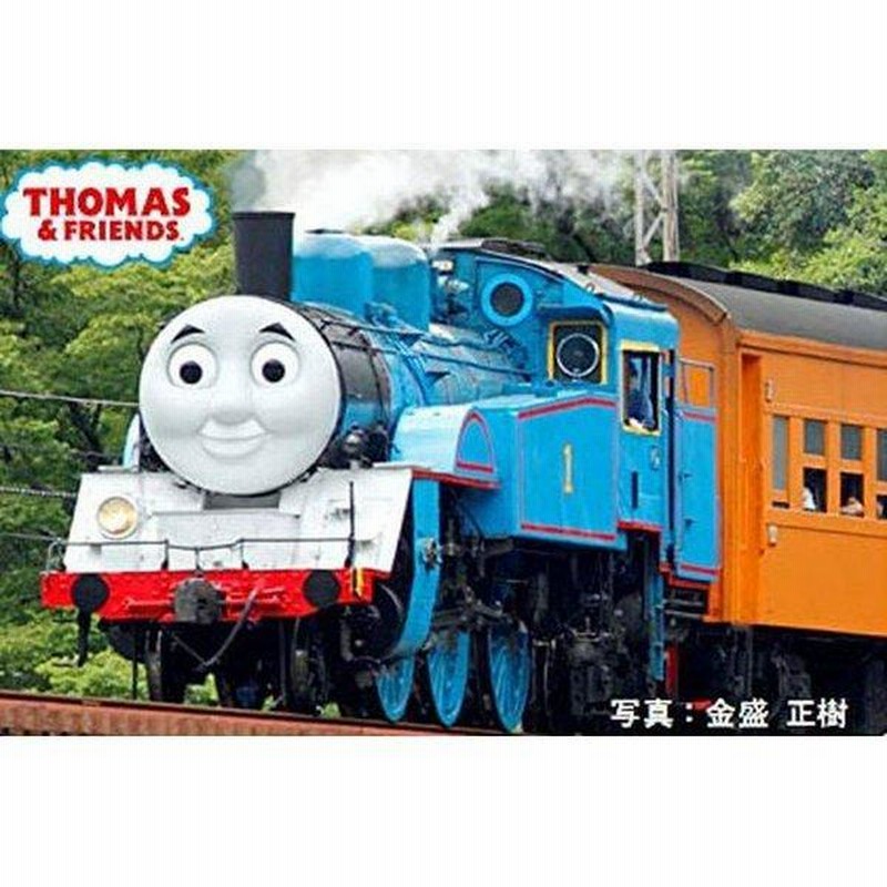 Nゲージ 大井川鐵道 きかんしゃトーマス号 鉄道模型 蒸気機関車