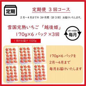 ふるさと納税 いちごの定期配送　雪国完熟いちご越後姫170g×6全3回 新潟県上越市