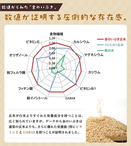 定期便6ヶ月 金のいぶきプレミアム玄米ごはん120g×36個 パックごはん パックご飯 防災 米 レトルト ごはんパック