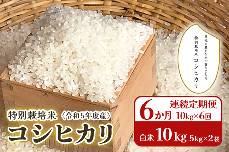 [6か月連続定期便(10kg×6回)] 令和5年度産 特別栽培米 コシヒカリ 白米10kg(5kg×2袋)｜数量限定 お米 精米 国産 日光産 産地直送 [0322]