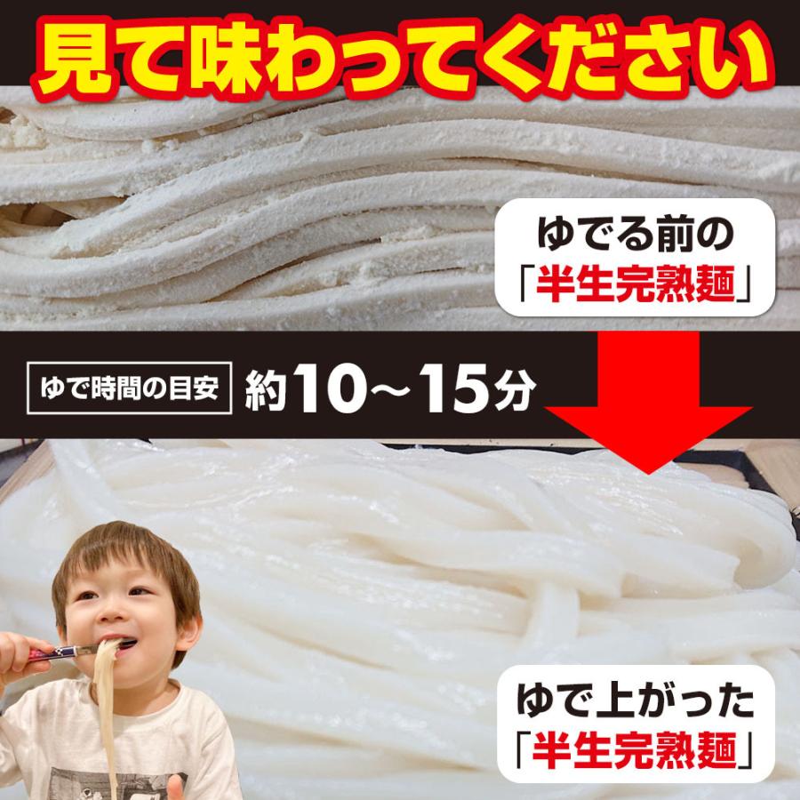 熟成 半生 並切麺 讃岐うどん 激ウマ 6〜8食 便利な個包装 250g×3袋 750g 送料無料 最安値挑戦 お試し