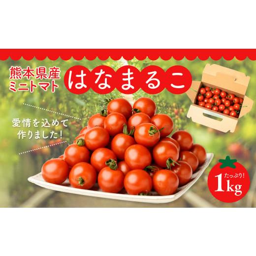 ふるさと納税 熊本県 八代市  熊本県産 ミニトマト はなまるこ 1kg
