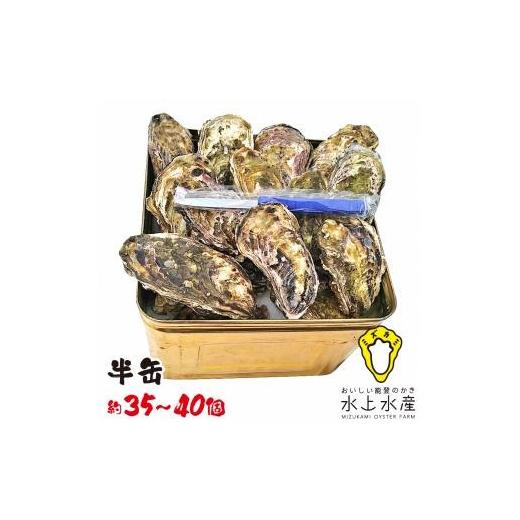 ふるさと納税 石川県 七尾市 水上水産　能登のかき　半缶ガンガン焼き（約35〜40個・ナイフ付）