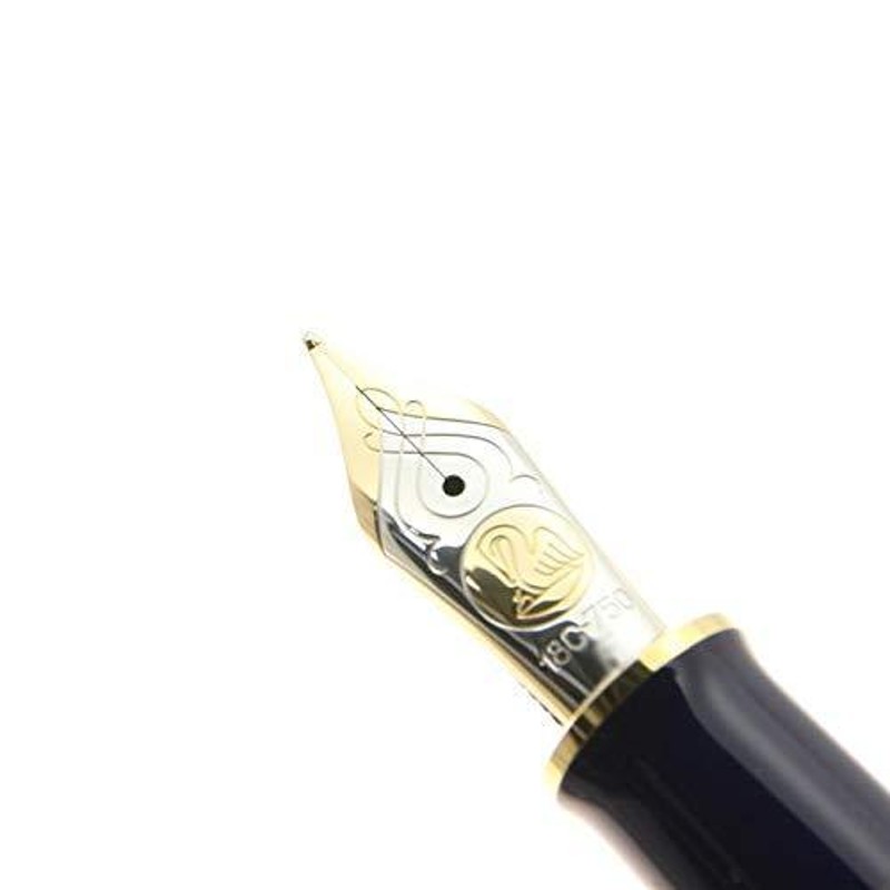 Pelikan ペリカン 万年筆 スーベレーン M800 ストーンガーデン B