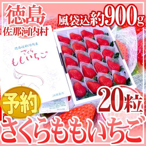 徳島県佐那河内産 ”さくらももいちご” 超大粒20粒 化粧箱 送料無料