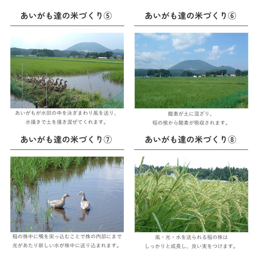 あいがも農法米ひとめぼれ 一等米玄米 30kg 宮城県加美産 特別栽培米 令和5年産 受注生産