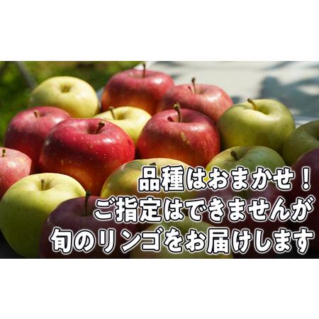 ふるさと納税 8〜12月発送旬のリンゴ詰め合わせ 約5kg 糖度13度以上 青森県弘前市