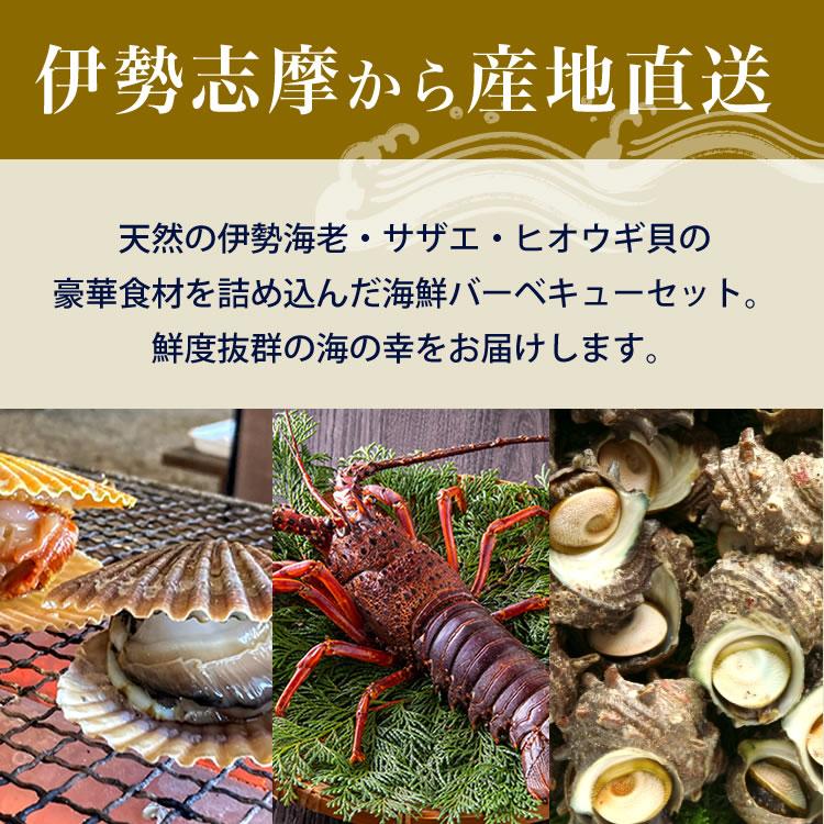 海鮮BBQセット ひおうぎ貝 さざえ 伊勢海老 伊勢志摩産 産地直送 ばた貝 サザエ 伊勢海老 伊勢志摩直送 4人〜5人前 BBQ バーべキュー お歳暮 ギフト 送料無料