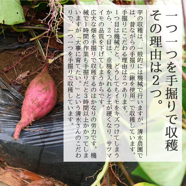 さつまいも 紅はるか 3kg  送料無料 生 土つき 減農薬 低農薬  清水農園 愛媛