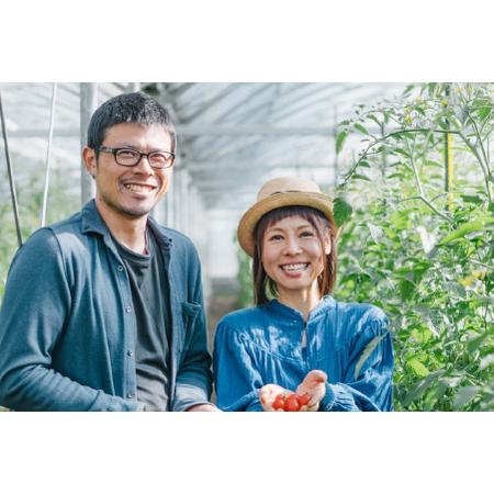 ふるさと納税 香TOMATOメルシーギフト(OGAWA FARM)　 宮崎県小林市