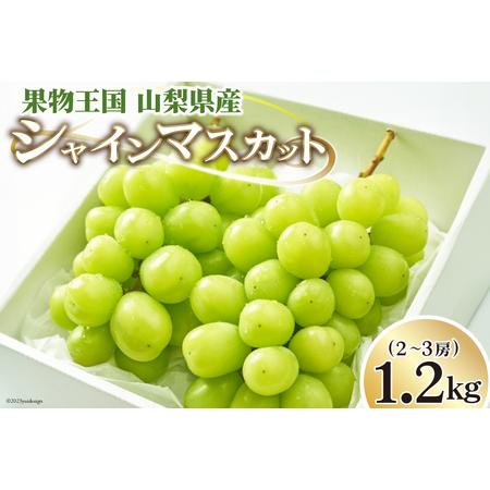 ふるさと納税 ぶどう シャインマスカット 1.2kg (2〜3房) [OUTTA REACH JAPAN 山梨県 韮崎市 20742336] フルーツ 果物 マスカット .. 山梨県韮崎市