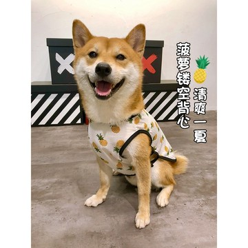 【汪喵森活－優惠出清💲】 鳳梨 春夏 寵物背心 防曬背心 透氣背心 寵物衣服  狗衣服 柯基 法鬥 柴犬 貴賓 西高地