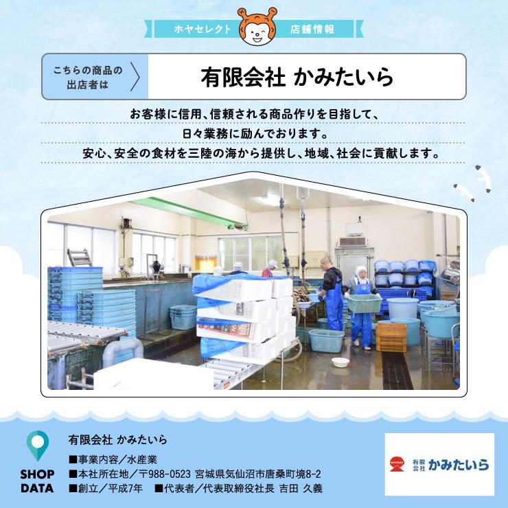 おいしいおいしい鮮牡蠣 牡蠣 かき 宮城県産 むき身 約20個〜30個 生食用（かみたいら)