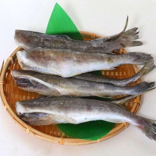 こまい 一夜干し 生干し 北海道産 2kg 送料無料 氷下魚（こまい） 別途送料が発生する地域あり