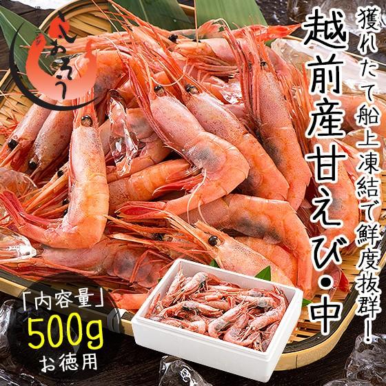 甘エビ 甘えび 子持ち 500g （約40尾入り）刺身用 越前産 甘えび 海老 えび エビ 贈り物 お祝い プレゼント ギフト 冬グルメ 冬ギフト