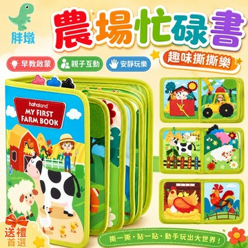 台灣出貨🚚寶寶忙碌書 蒙台梭利忙碌書 魔鬼氈黏貼書 忙碌書 黏貼遊戲書 安靜書 毛氈安靜書 蒙特梭利 嬰兒早教書