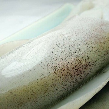 鮮凍軟絲 2-3人份5隻(300g～400g/隻)