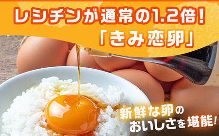 「きみ恋卵」110個定期便(5ヶ月)_T40（5）-2901 _(都城市) 赤卵 きみ恋卵 Ｍサイズ 110個 約6.5kg