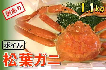 足１本なしボイル松葉ガニ(特特大1,100ｇ)訳あり