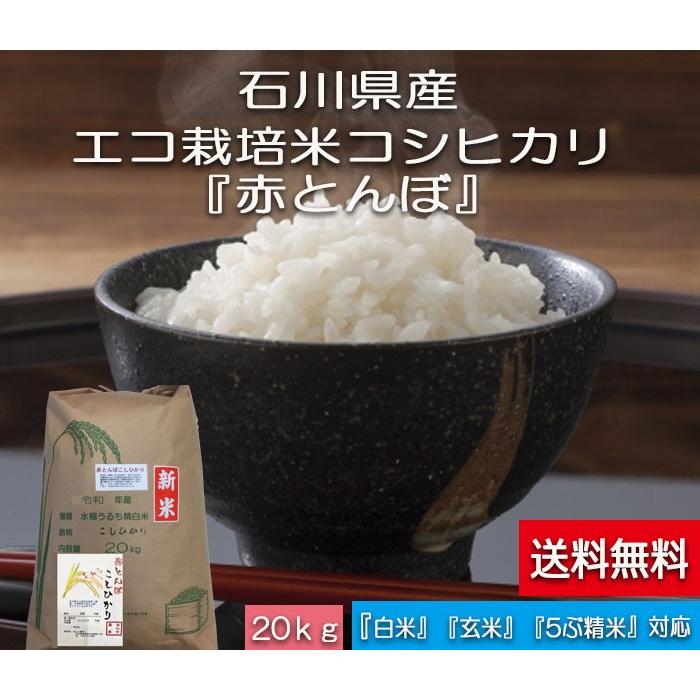 令和5年産 新米 加賀百万石 こしひかり エコ栽培米 石川県産 赤とんぼ  白米 20kg