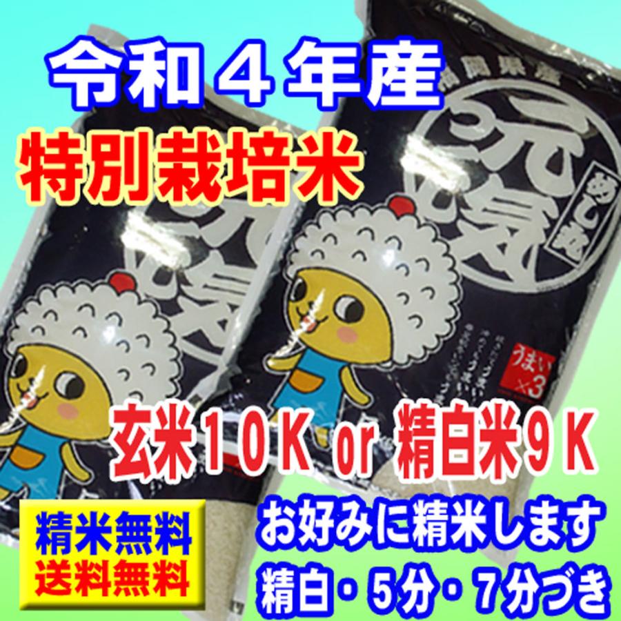 新米 令和5年産 特別栽培米 10kg (5kg×2袋) 福岡県産 元気つくし 玄米 白米 7分づき 5分づき 3分づき お好みに精米