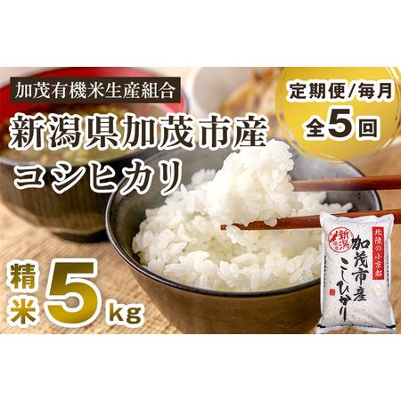 ふるさと納税 新潟県加茂市産コシヒカリ 精米5kg 白米 加茂有機米生産組合 定期便 定期購入 定期 コシヒカリ 新潟県産.. 新潟県加茂市