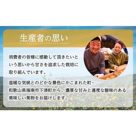 ふるさと納税 不知火（完熟栽培）樹上約300日　15玉?28玉　5kg　赤秀品 和歌山県海南市