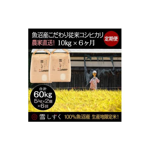 ふるさと納税 新潟県 十日町市 定期便！魚沼産こだわり従来コシヒカリ毎月10kg×6回