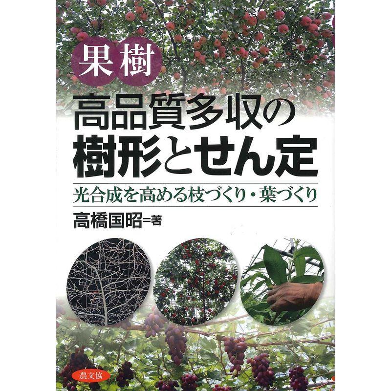 果樹 高品質多収の樹形とせん定?光合成を高める枝づくり・葉づくり